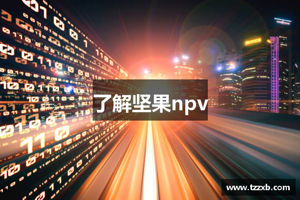 坚果npv